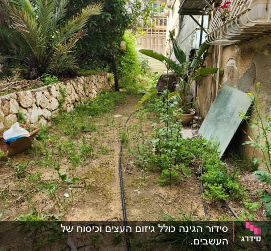 צינורות השקיה בגינה עם צמחים ועציצים